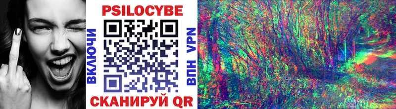 Купить где  Йошкар-Ола  Псилоцибиновые грибы мицелий 